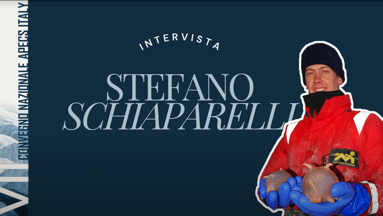 Intervista a Stefano Schiaparelli